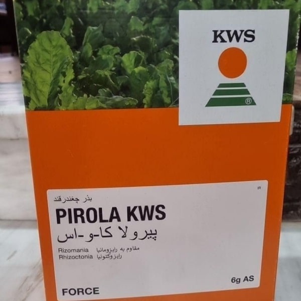بذر چعندرقند پیرولا(KWS)