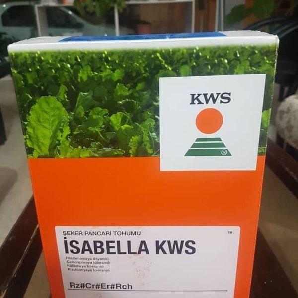 بذر چغندرقند ایزابلا (KWS)